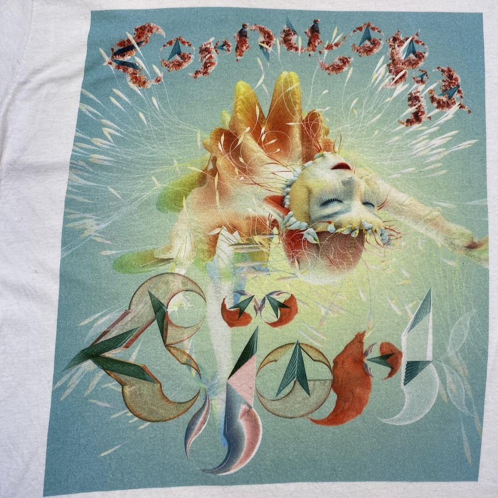 Bjork Cornucopia Graphic Shirt Mens XL White Short Sleeve Gildan Softstyle Tee